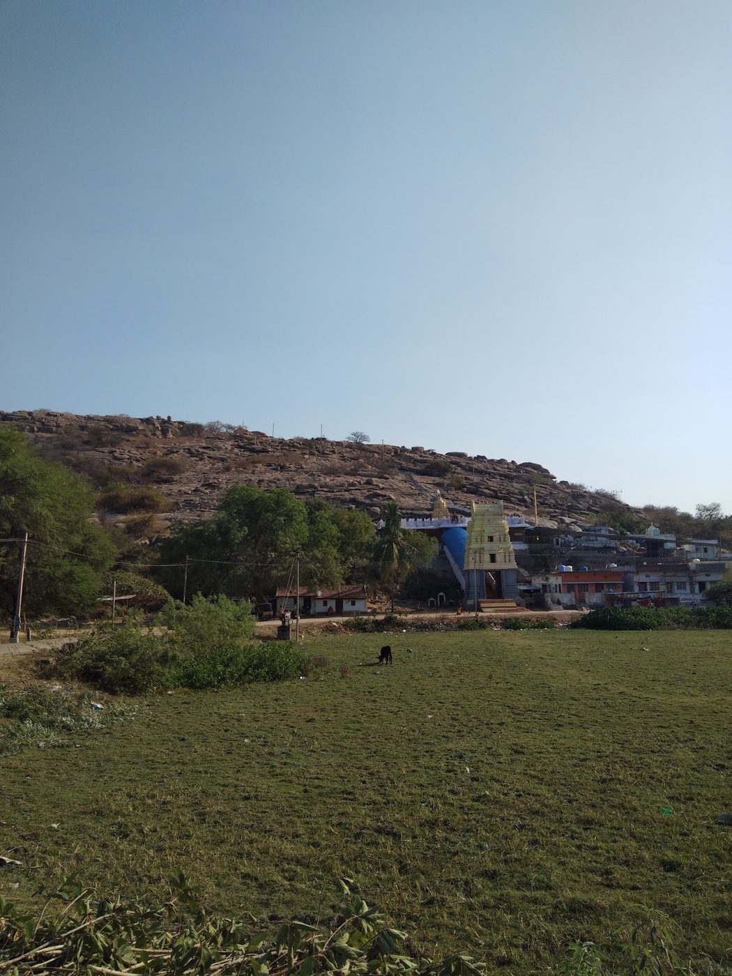 Gopuram & temple tank