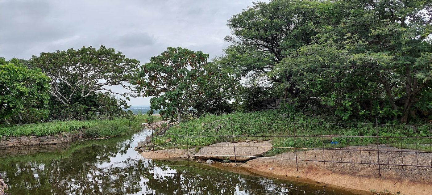 The temple koneru (pond)